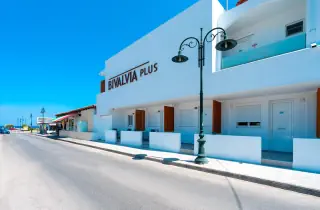 Bivalvia Beach Plus