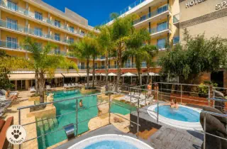 La Palmera