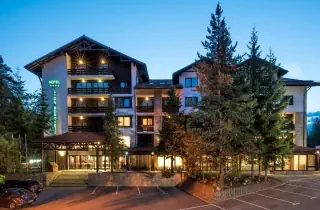 Lion Borovets