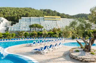 Hotel Mimosa - Lido Palace
