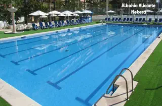 Albahia Alicante