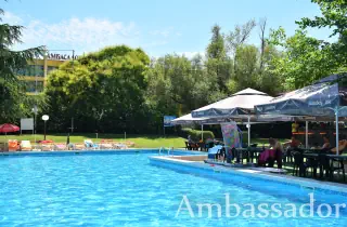 Ambassador