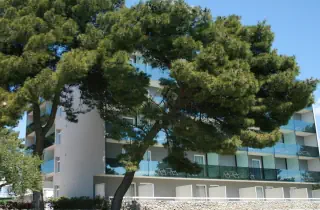 Villa Arausa