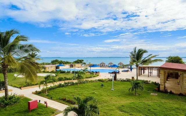 Treetop by Eight Continents Zanbreeze