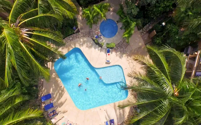 Tukan Playa del Carmen