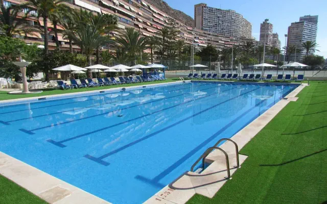  Albahia Alicante 