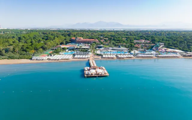 Papillon Belvil Club