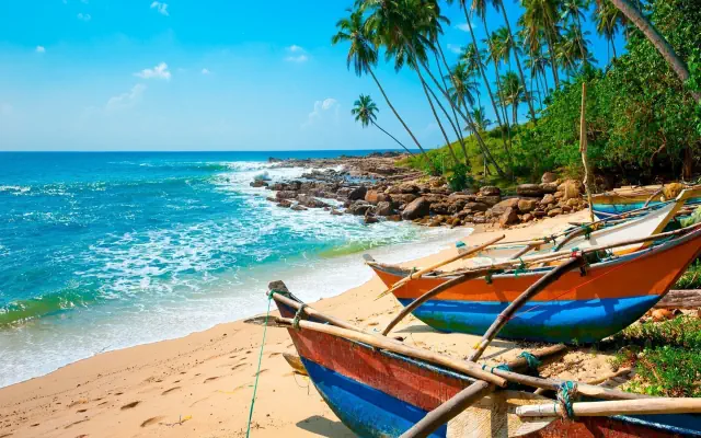 Wakacje Pod Palmami! Cejlon