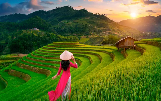 Ryż na Polu, Raj na Plaży