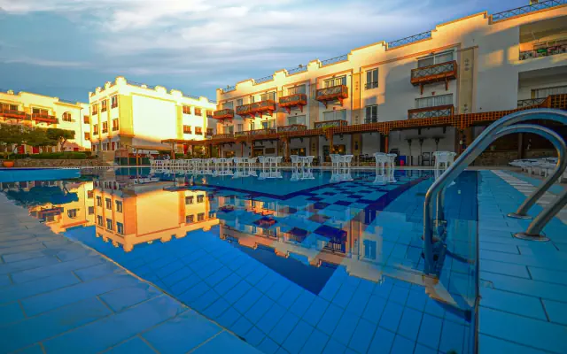 Falcon Naama Star