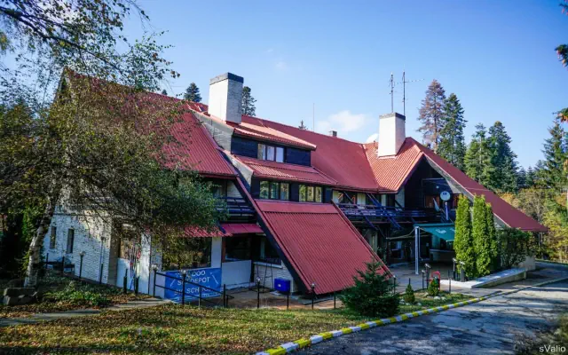 Breza (Borowiec)