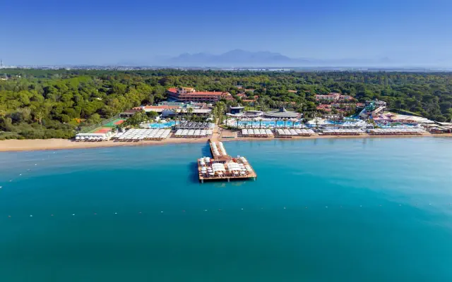 Papillon Belvil Club