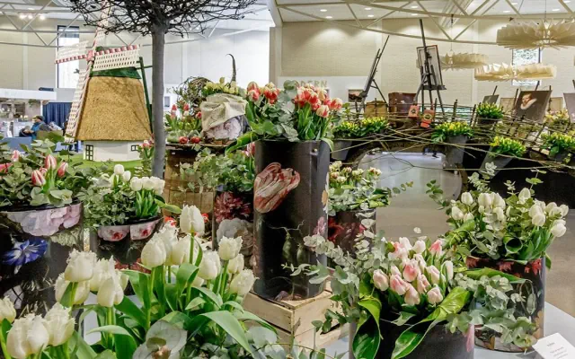 Festiwal Tulipanów i Amsterdam