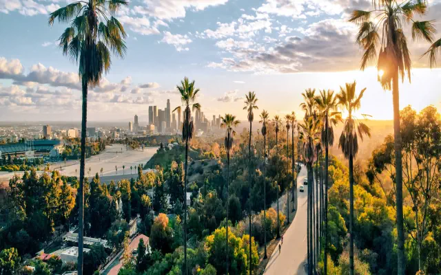 California Dreams