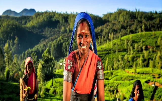 Sri Lanka- Smak Herbaty z Cynamonem