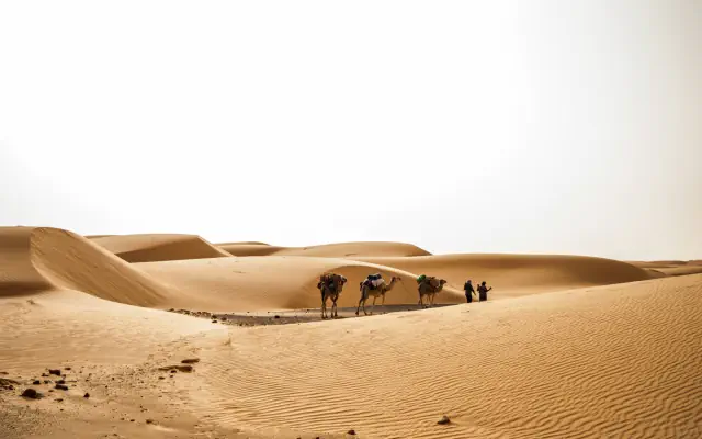 Pod Gwiazdami Sahary